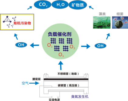 1477379746877382yvpv.png 1477379746877382yvpv.png