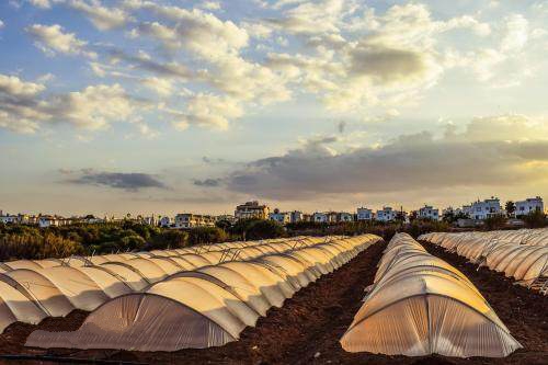 農(nóng)業(yè)與互聯(lián)網(wǎng)的相互滲透,一場改變正在席卷全國 農(nóng)業(yè)與互聯(lián)網(wǎng)的相互滲透,一場改變正在席卷全國